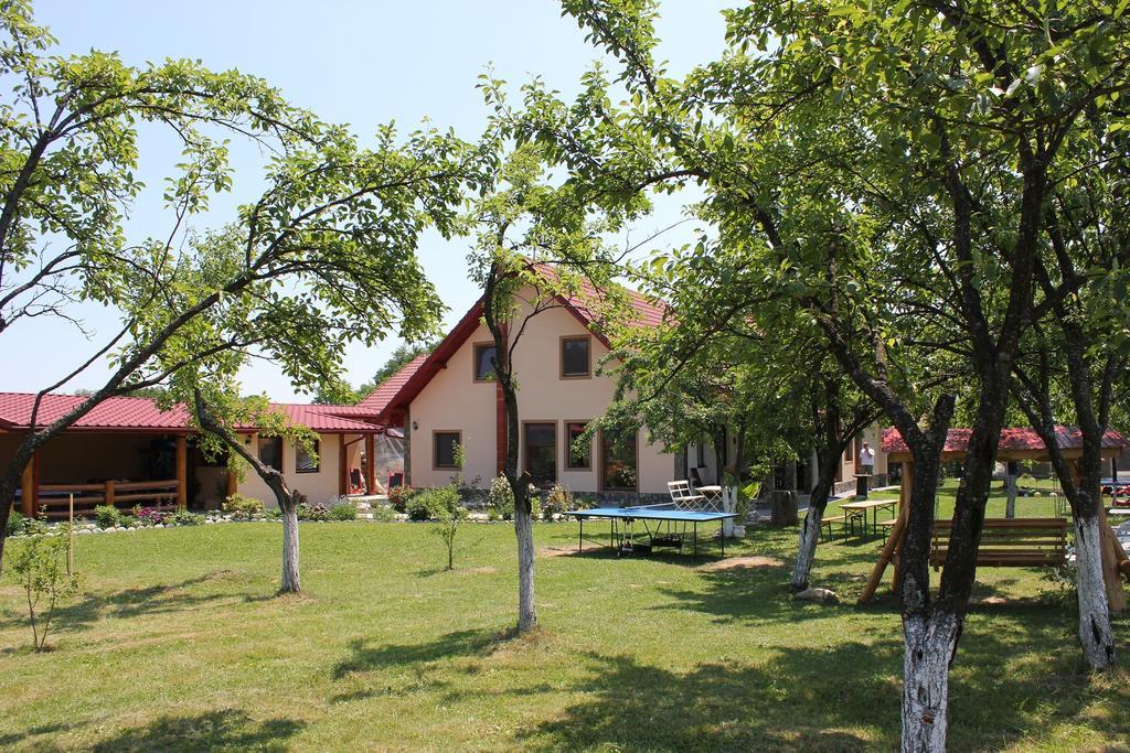 Pensiunea Casa Noastra Baia de Fier Exterior photo